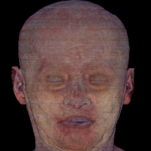 Ours rendered