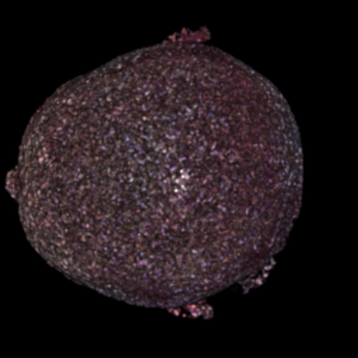 A₄