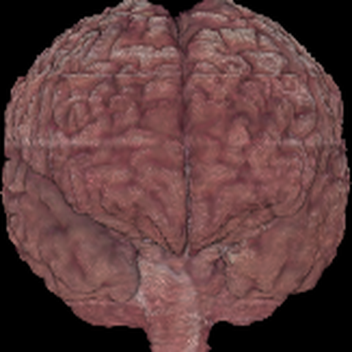 Brain Pred
