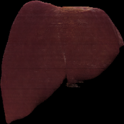 Liver Pred